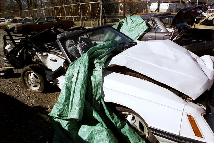 passenger side view.JPG